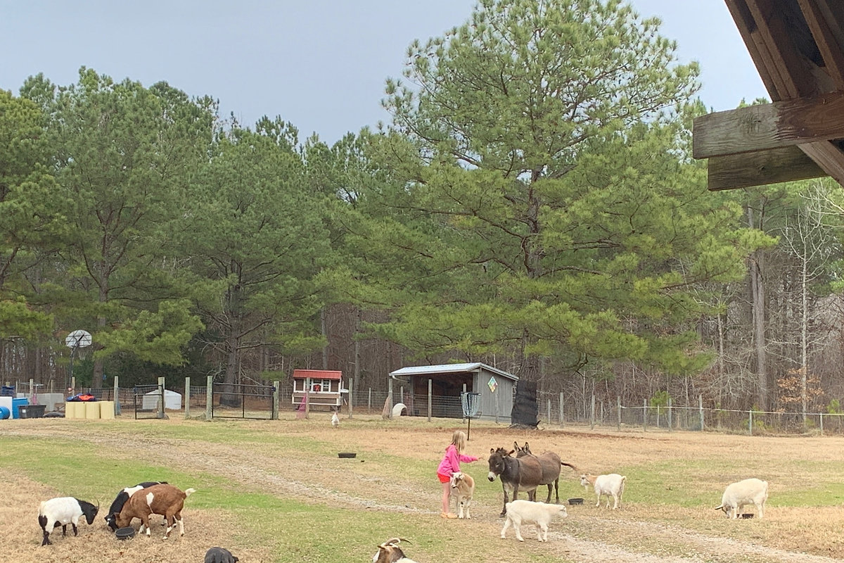 Triple Brook Farm landscape