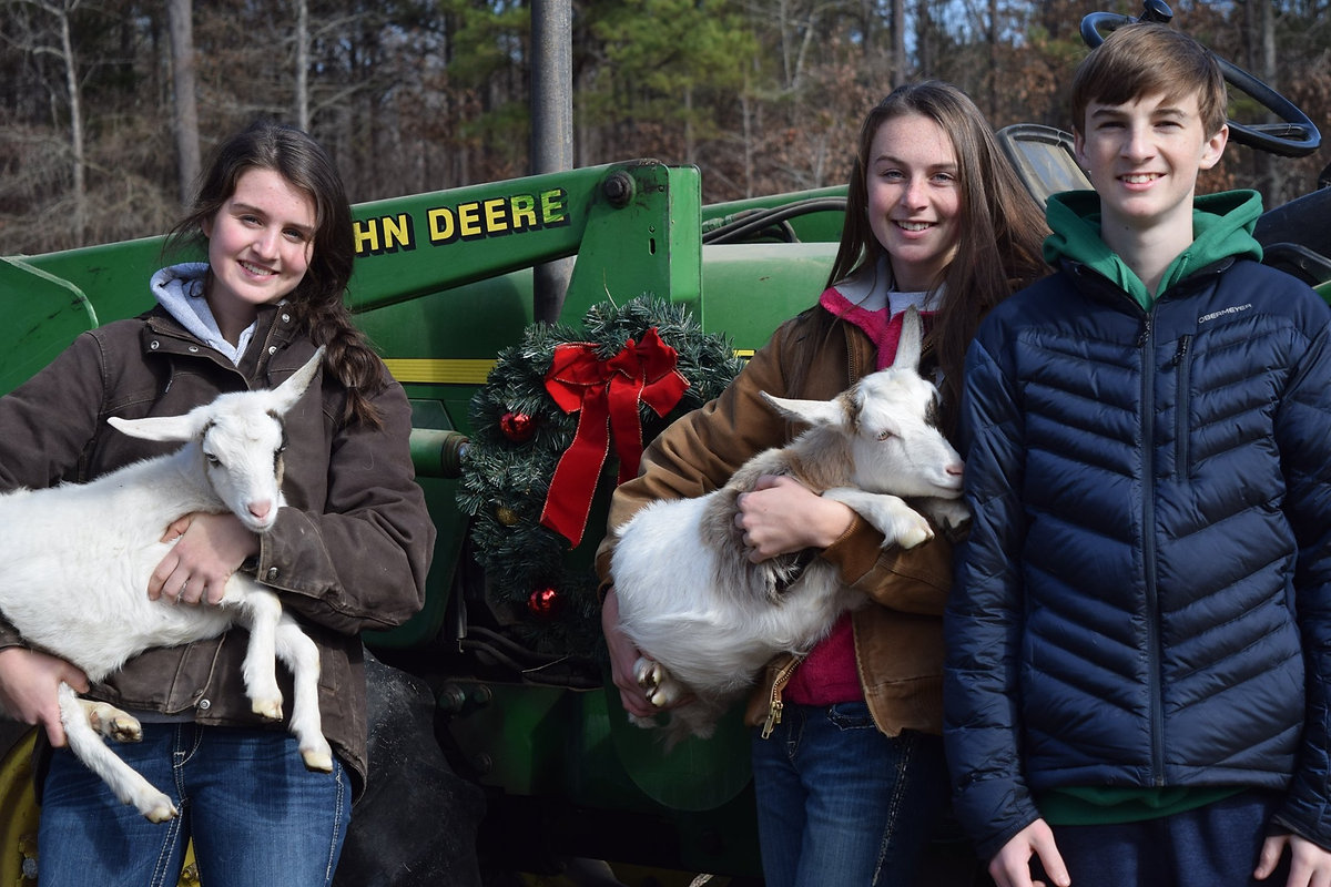 Triple Brook Farm